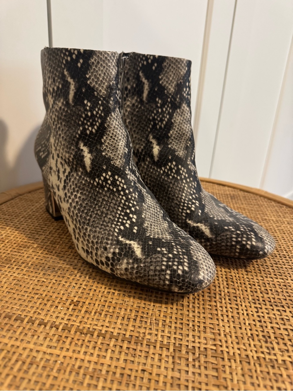 Essex Lane Snake-Print Ankle Boots in Black and Cream